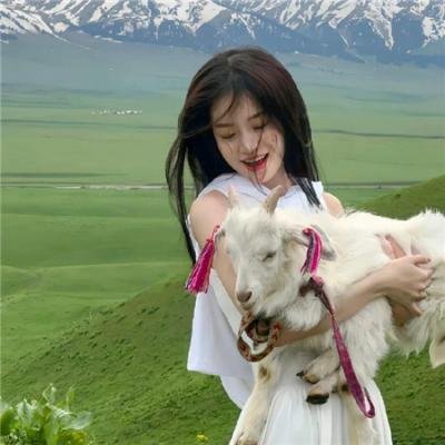 孤儿流浪记