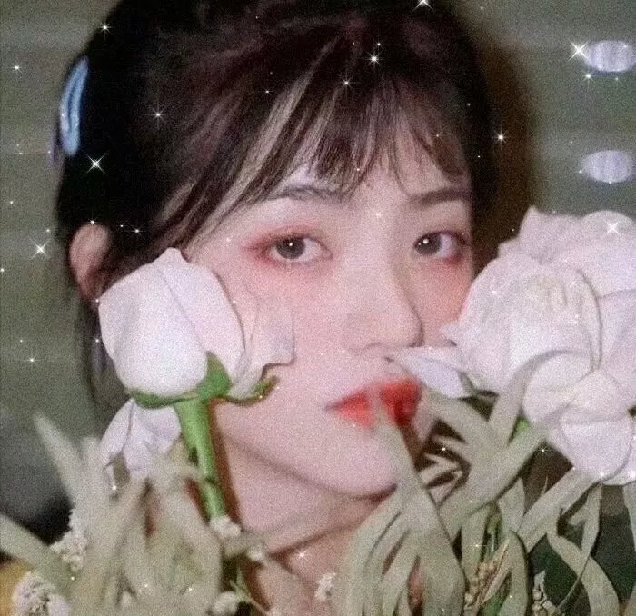 老鼠玛戈